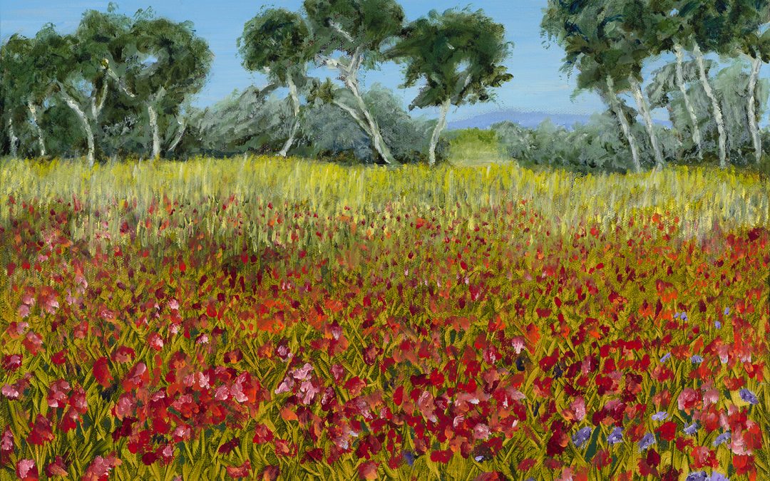 French Poppies