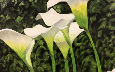 Lilies