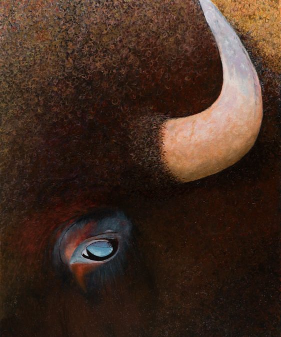 A Lot of Bull