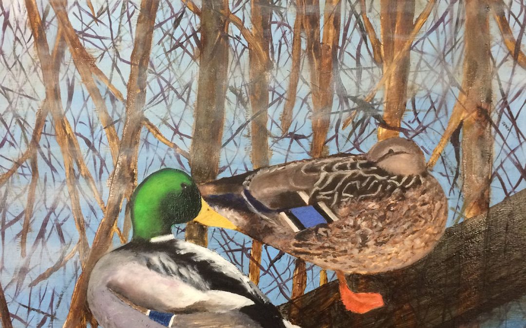 Mallard Marital Bliss