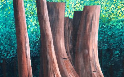 Stanley Park Stump