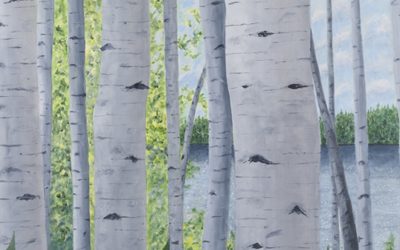 Birch