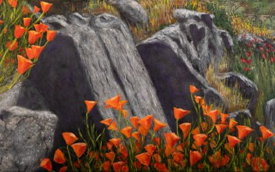 California Poppies
