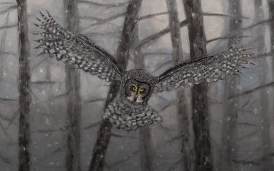 Great Gray